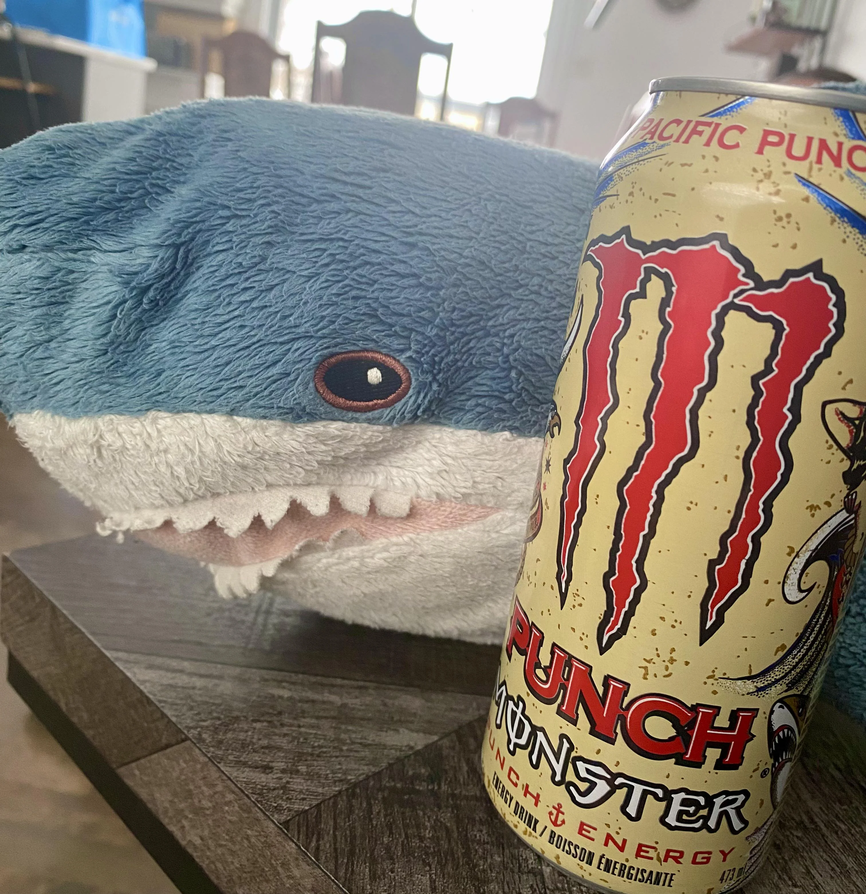 Plush toy shark holding a Pacific Punch Monster Energy can